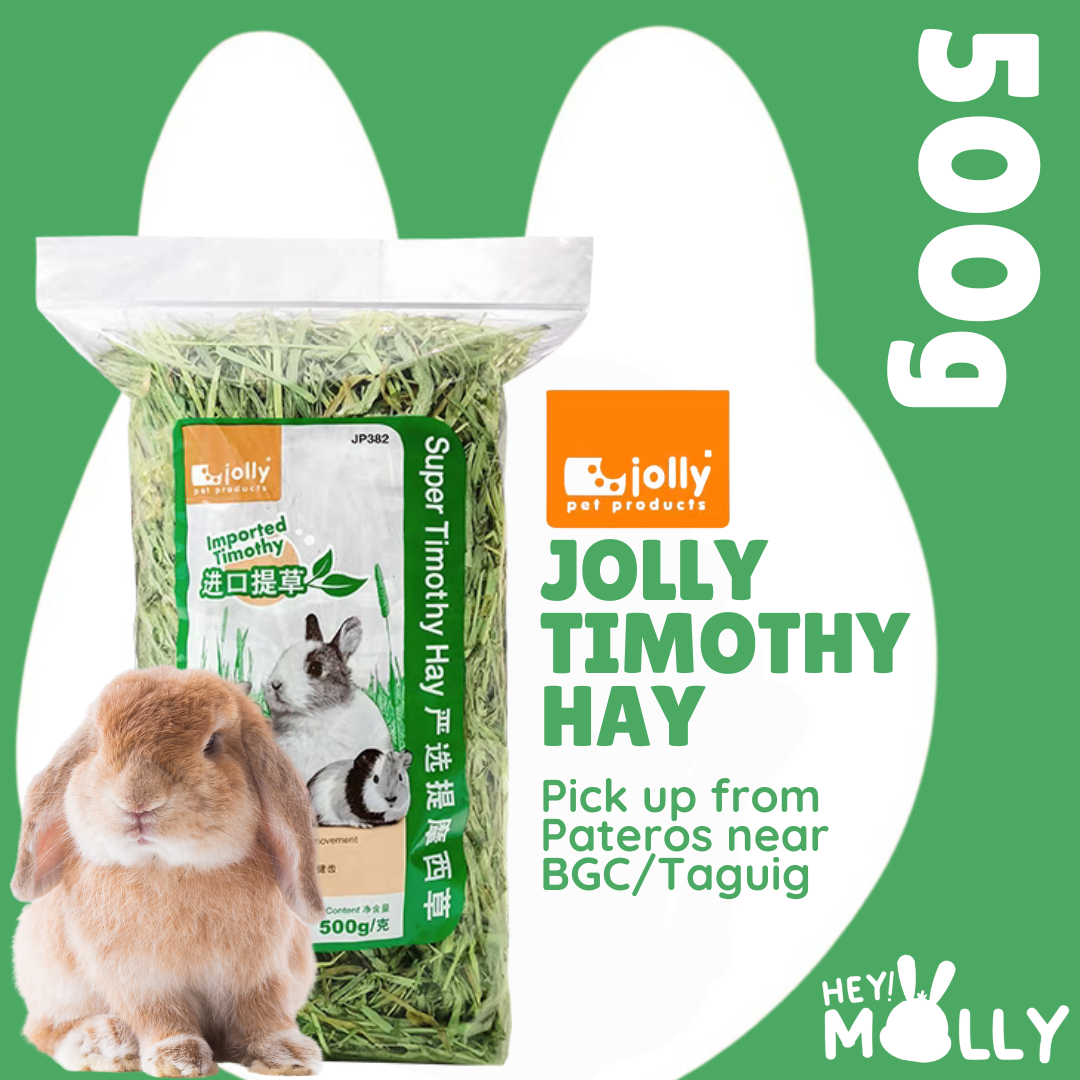 Jolly Timothy Hay 500g per bag