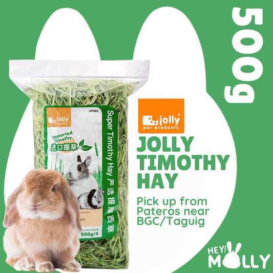Jolly Timothy Hay 500g per bag