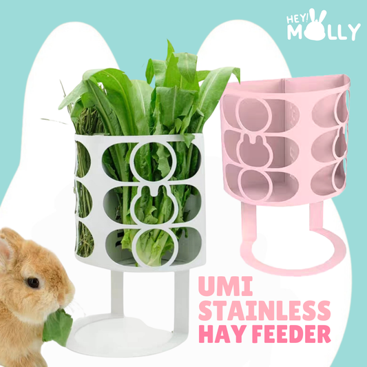UMI Stainless Bunny Hay Feeder